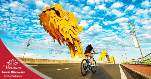 Cầu Rồng Đà Nẵng Biểu Tượng Của Cội Nguồn