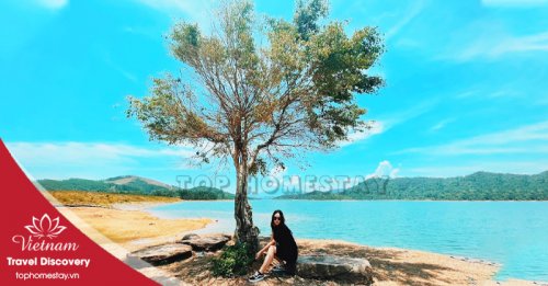 Hồ Hòa Trung - Thảo Nguyên Xanh Giữa Lòng Đà Nẵng