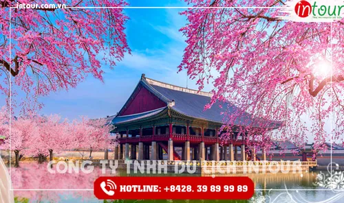 Tour Du Lịch Hàn Quốc Seoul - Jeju - Nami 6 Ngày 5 Đêm