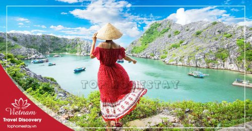 Tour du lịch Đồ Sơn – Cát Bà 3 ngày 2 đêm