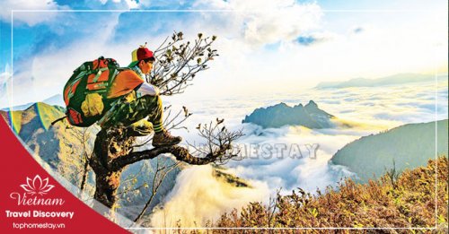 Tour Du Lịch Đồng Hới - Động Thiên Đường - Đỉnh núi U Bò 1 Ngày