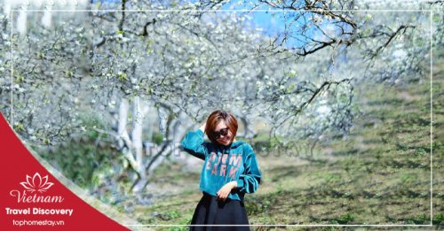 UPDATE Giá Vé Tham Quan Du Lịch Ở Điện Biên Mới Nhất 2025