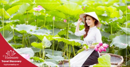 Tour Du Lịch Đồng Tháp - Gáo Giồng Tết Nguyên Đán 1 ngày