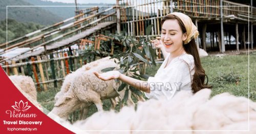 UPDATE Giá Vé Tham Quan Du Lịch Ở Nghệ An Mới Nhất 2025