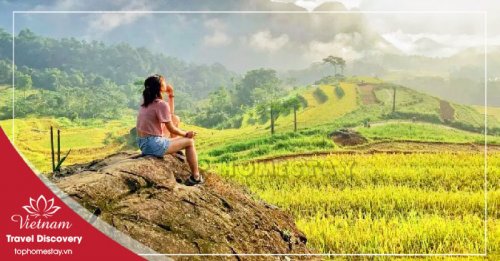 Tour du lịch biển Sầm Sơn Thanh Hóa 3 ngày 2 Đêm