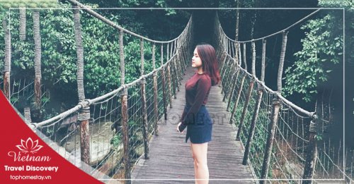 Tour du lịch Tam Đảo 1 ngày