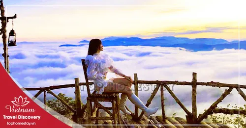 Tour Du Lịch Săn Mây Đón Bình Minh Đà Lạt