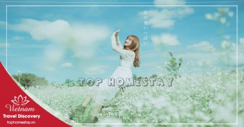 Tour Du Lịch Check-in Chụp Hình Sống Ảo Ở Đà Lạt