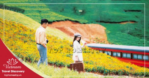 Tour Tham Quan Đồi Chè Cầu Đất Đà Lạt