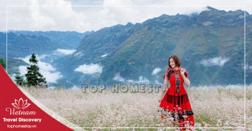 Tour Du Lịch Hà Giang - Thác Bản Giốc - Hồ Ba Bể Tết Nguyên Đán 5 ngày 4 đêm