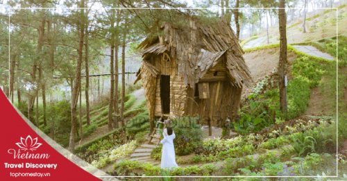 Tour Du Lịch Đà Lạt Tết Nguyên Đán 2 Ngày 1 Đêm