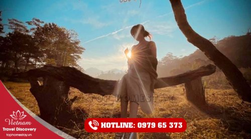 Tour Cắm Trại Săn Mây Đỉnh Núi Hòn Bồ Đà Lạt 2 Ngày 1 Đêm