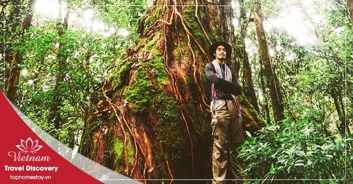 Tour Trekking Vườn Quốc Gia Bidoup 3 ngày 2 đêm