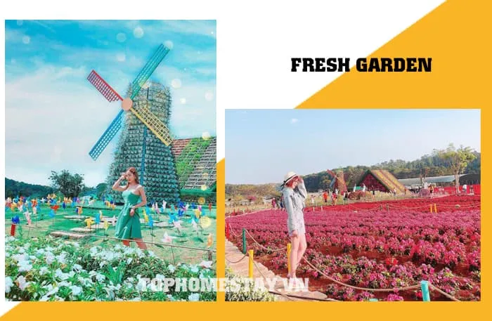 Tour du lịch Đà Lạt 3 ngày 2 đêm cao cấp khách sạn 5 sao 3