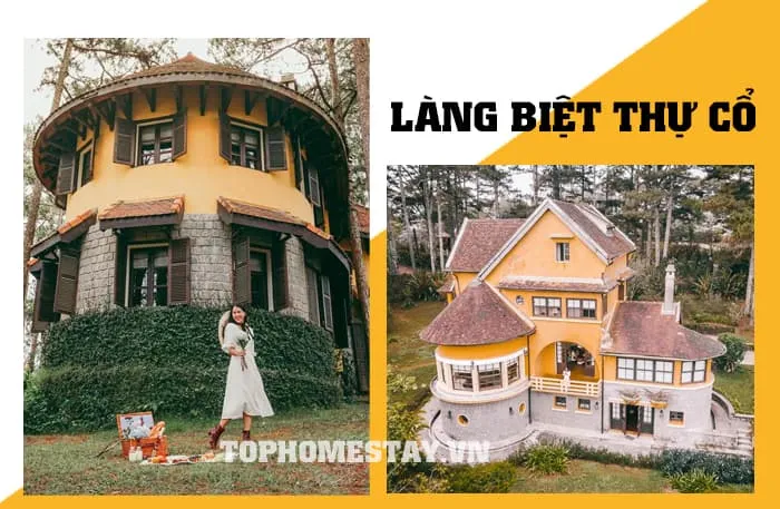 Tour du lịch Đà Lạt 3 ngày 2 đêm cao cấp khách sạn 5 sao 6