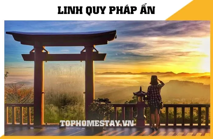 Tour du lịch Đà Lạt 3 ngày 2 đêm cao cấp khách sạn 5 sao 8