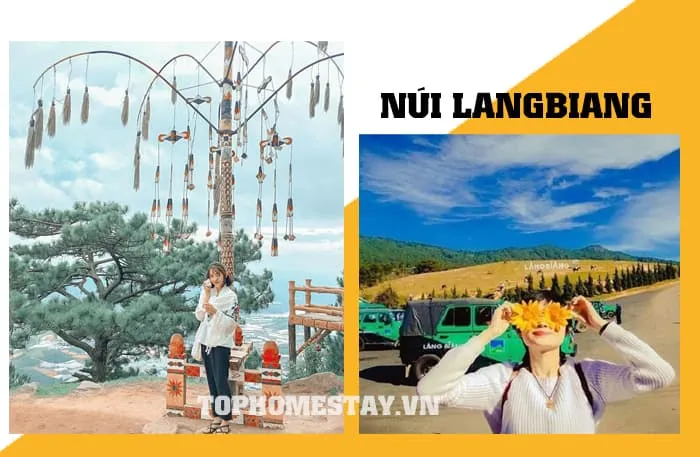 Tour du lịch Đà Lạt 3 ngày 2 đêm cao cấp khách sạn 5 sao 9