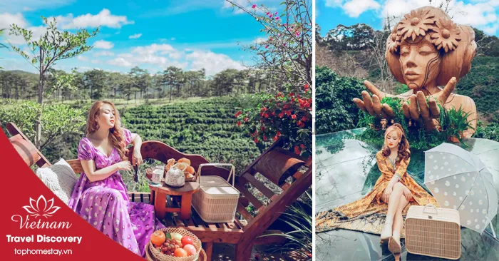 Caphe Tulu Tula Khu Đồi Cổ Tích Mới Toanh Giữa Đồi Đà Lạt