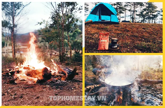 Tour Cắm Trại - Camping Đà Lạt 1 đêm 1