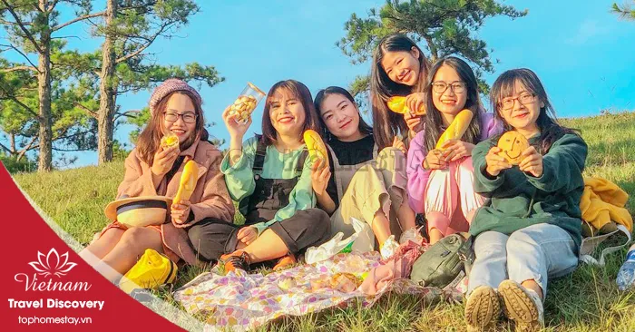 Đồi Đa Phú Điểm Check-in Cắm Trại Săn Mây Đẹp Như Mơ