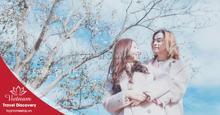 Hoa Ban Trắng Đà Lạt Con Đường Ngắm Hoa Tuyệt Đẹp