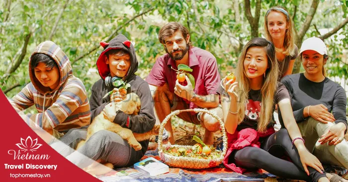Những vườn Hồng Đà Lạt vào mùa chín mọng đẹp lạ thường