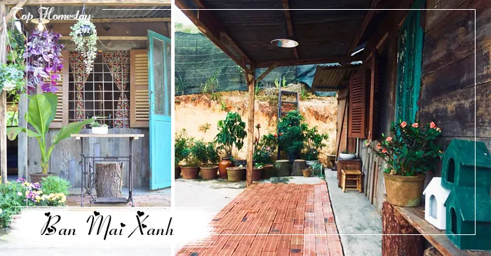 Homestay Ban Mai Xanh ngôi nhà gỗ nguyên căn Đà Lạt