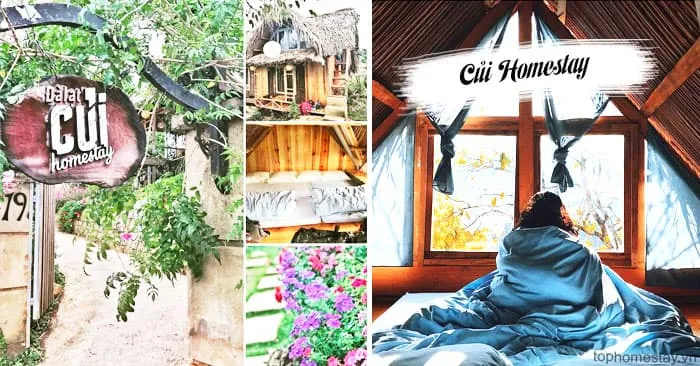 Homestay Củi Đà Lạt ngôi nhà viền gỗ lãng mạn trong lòng Đà Lạt