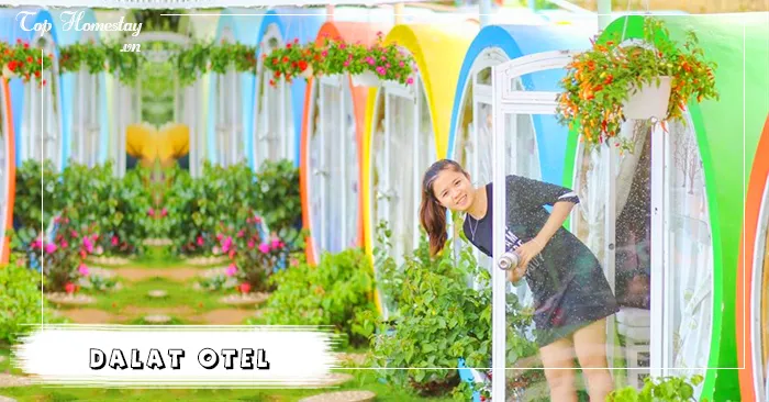 Homestay Dalat Otel ống cống siêu cute - Discovery Home
