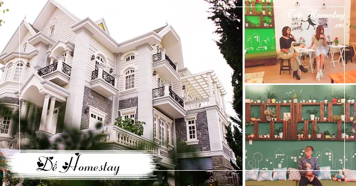 Homestay Dế không gian homestay cà phê trẻ trung năng động
