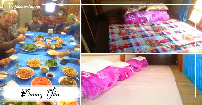 Dương Yến Homestay ngôi nhà giữa cánh đồng xanh ngát