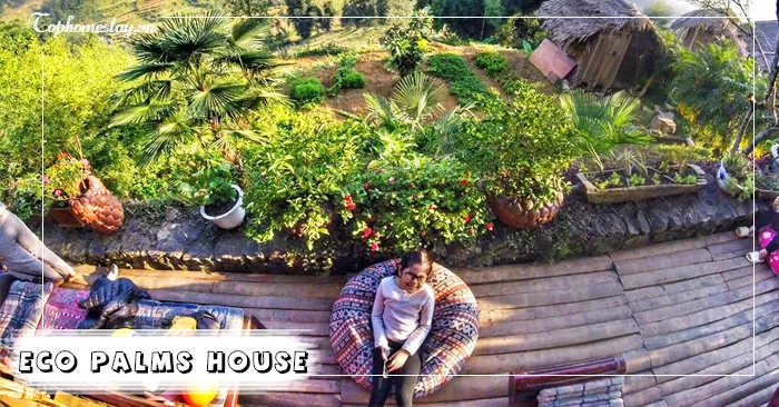 Ngôi nhà giữa đồng lúa thơ mộng Eco Palms House