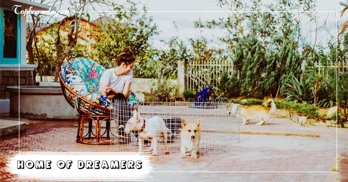 Tháng Năm Rực Rỡ (Homestay Home of Dreamers Cũ) Đà Lạt, ngôi nhà của kẻ mộng mơ