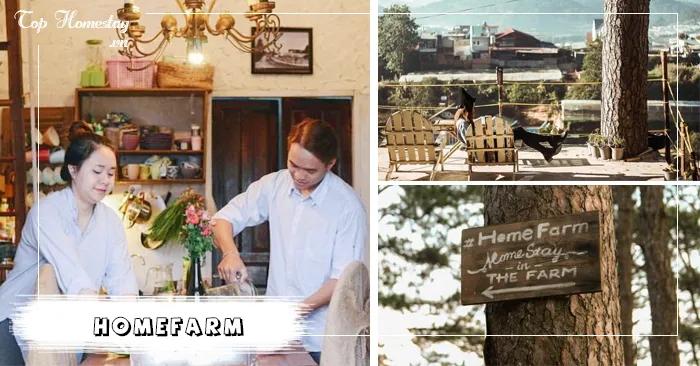Nông trại HomeFarm Đà Lạt ngôi nhà yên bình bên mái thông già