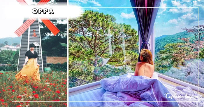 Oppa Homestay Đà Lạt - Nơi trao yêu thương nhận thương yêu