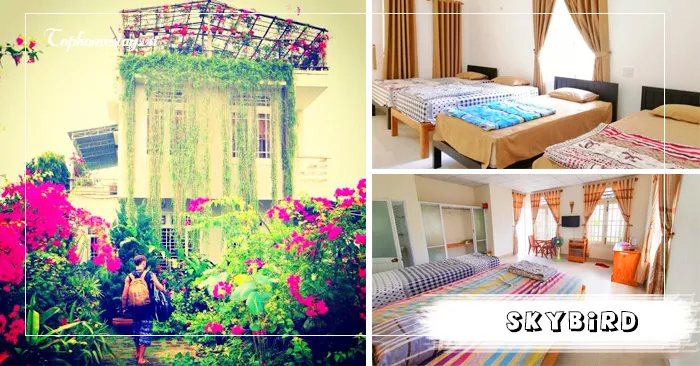 Skybird Homestay ngôi nhà ở ngoại ô xanh mát