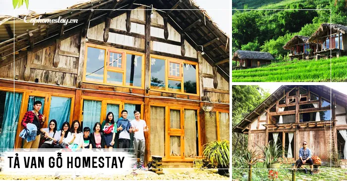 Tả Van Gỗ Homestay ngôi nhà mơ ước của tuổi thanh xuân