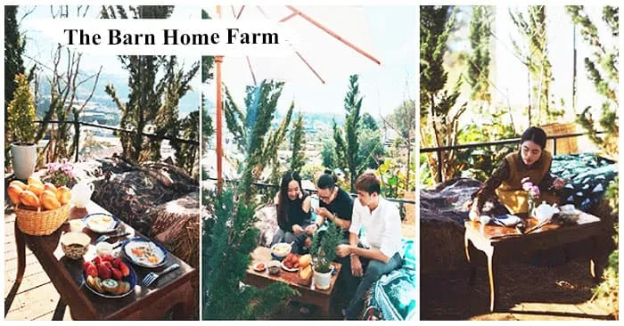 Homestay The Barn Home Farm Đà Lạt hành trình của những giấc mơ