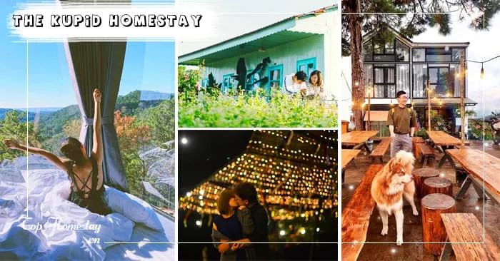 Homestay The Kupid Đà Lạt “Xanh”: Nơi hâm nóng tình yêu