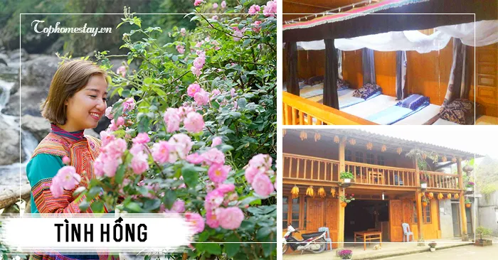 Tình Hồng Sapa Homestay giản dị, ấm cúng