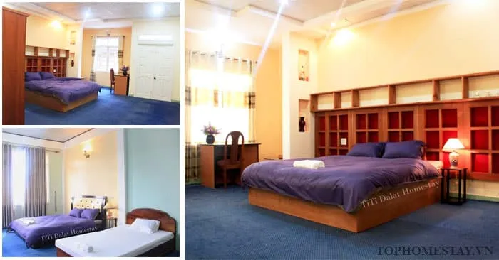Ti Ti Đà Lạt Homestay: Mái nhà nhỏ yên bình giữa lòng Đà Lạt