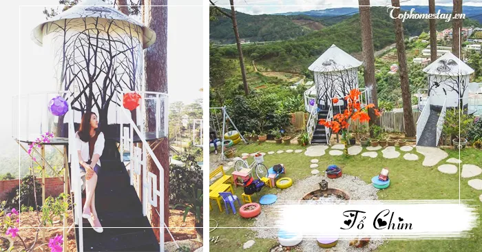 Homestay Bird's Nest Đà Lạt - Tổ Chim homestay điểm về tự do