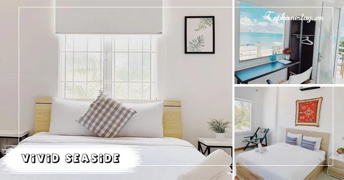 Vivid seaside homestay nhà hướng biển, phơi nắng, đón gió đẹp mê hồn