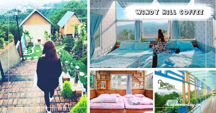 Windy Hill Coffee And Homestay Đà Lạt giữa ngọn đồi xanh