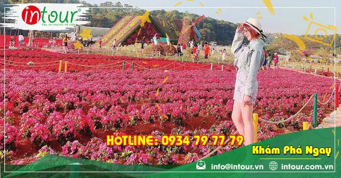 Tour Đà Nẵng - Đà Lạt 3 ngày 2 đêm năm 2026