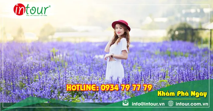 Tour du lịch Tây Ninh - Nha Trang - Đà Lạt 4 ngày 4 đêm năm 2026