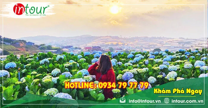 Tour du lịch Bình Phước - Đà Lạt 3 ngày 3 đêm năm 2026