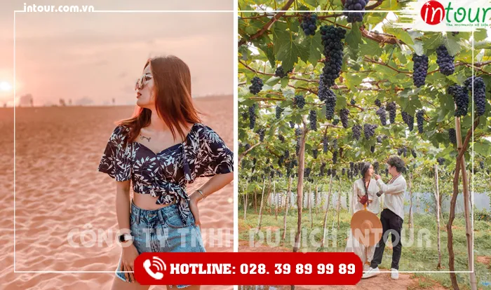 Tour Du Lịch Vĩnh Long - Phan Thiết - Mũi Né 2 ngày 1 đêm năm 2026