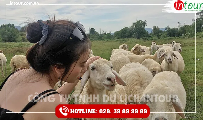 Tour du lịch Đồng Nai - Long Hải 1 ngày năm 2026