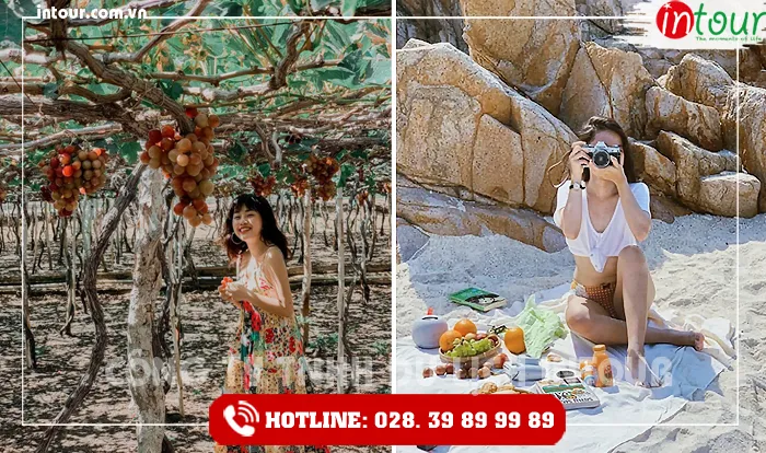Tour Du Lịch Cần Thơ Ninh Chữ - Vĩnh Hy 3 ngày 3 đêm năm 2026